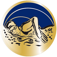 Schwimmerin Gold-Blau