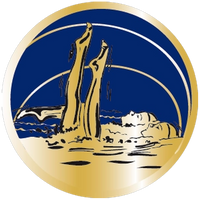 Synchronschwimmen Gold-Blau